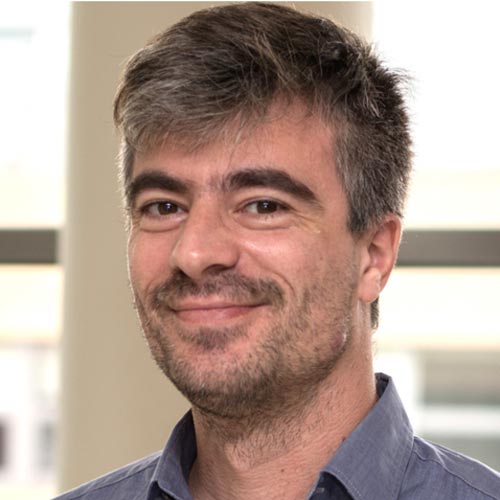 Professor Massimo Di Rico Ph.D.