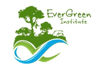 Evergreen Institute logo