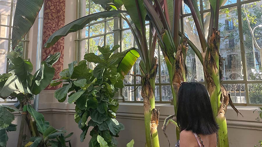 Daphne at the greenhouse