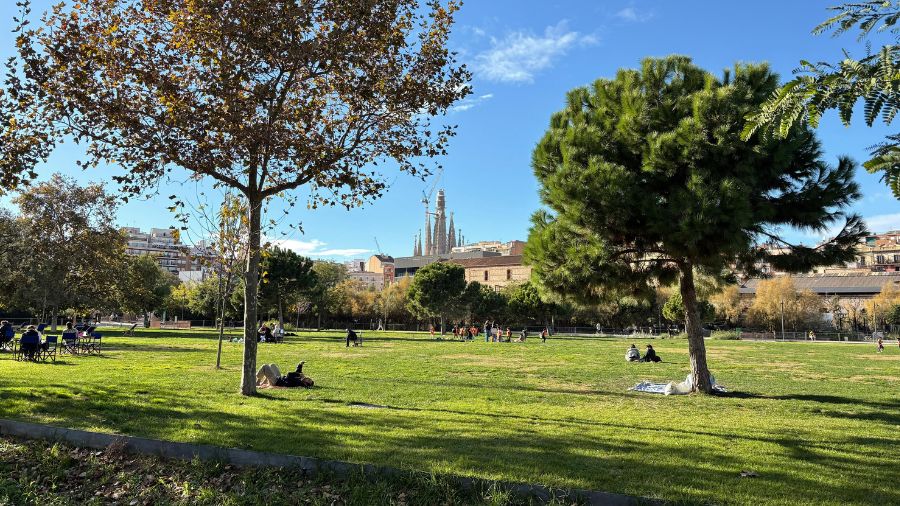 Green park with The Sagrada Familia in the background